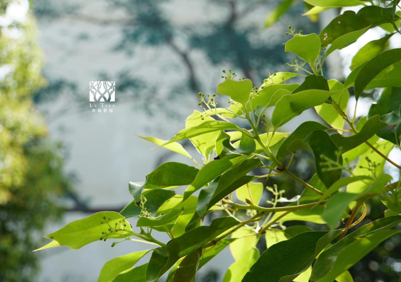 La Tree 普椿農場木子莊園 Apartment ตงเหอ ภายนอก รูปภาพ